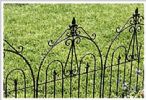 Garden Fence Panels 